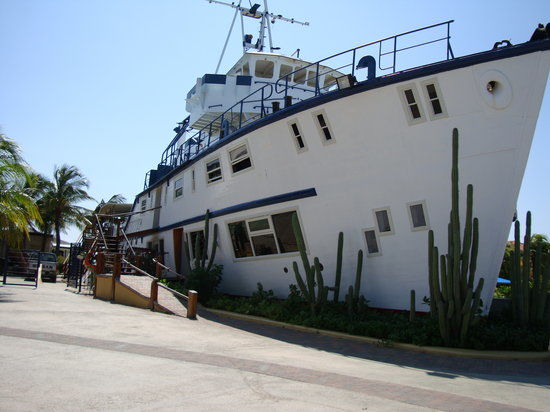 Akwarium Curacao Sea Aquarium